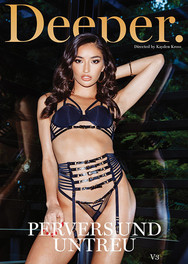 Pervers und untreu Vol. 3