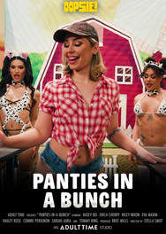 I prefer trans women