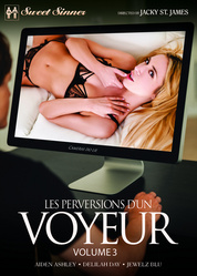 Les perversions d'un voyeur vol.3