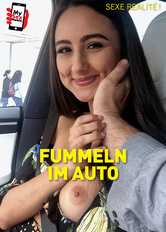 Fummeln im Auto