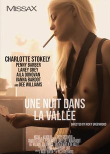 Une nuit dans la vallée