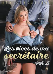 Les vices de ma secrétaire vol.3