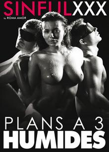 Plans à trois humides