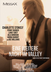 Eine weitere Nacht im Valley