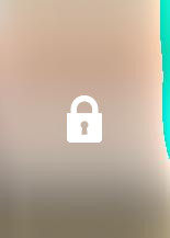 Luxury lingerie and perversions