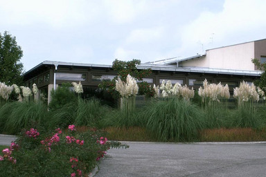 Cathy 40, cheating housewife