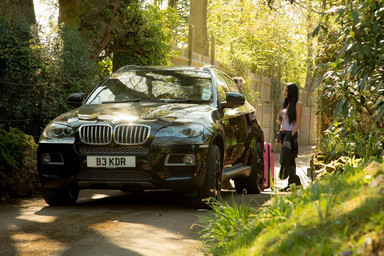 The Mademoiselle's Stallions