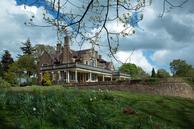 The Mademoiselle's Stallions