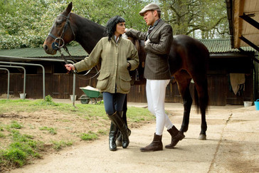 The Mademoiselle's Stallions