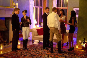 The Mademoiselle's Stallions