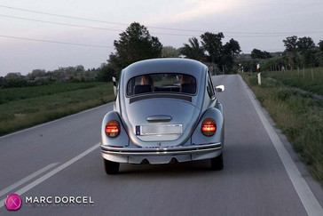 Lucy, the new secretary