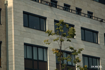 Girls at work - la consultante