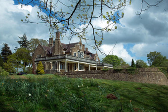 The Mademoiselle's Stallions