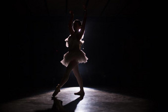 Ballerine le jour, Escorte la nuit