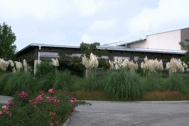 40 ans, mariée mais libertine