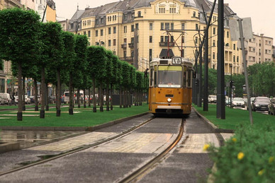 39 ans, mariée et ouverte à tous