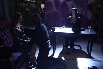 Tempted by translation