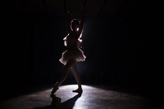 Ballerine le jour, Escorte la nuit