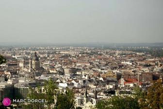 Lucy, the new secretary